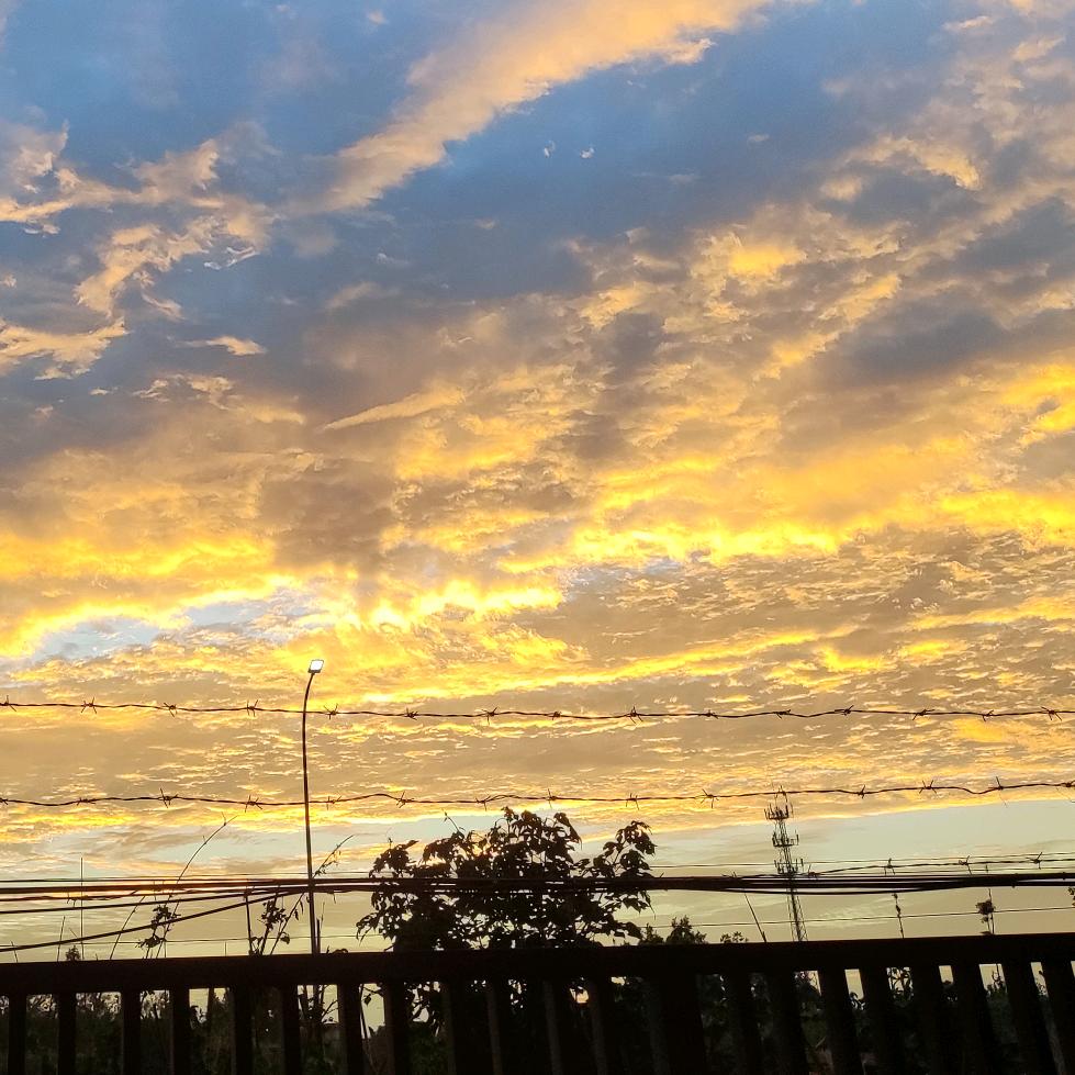 锦鲤🌈！锦鲤🌈！锦鲤🌈！我要当锦鲤