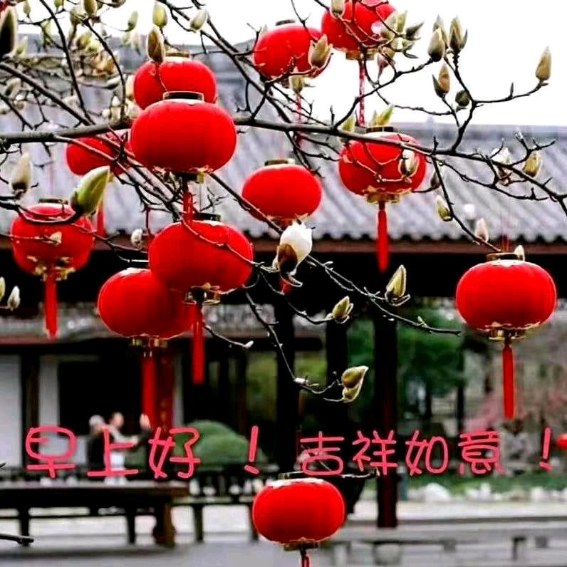 花好月圆，拒绝聊天