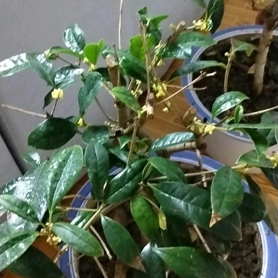 手心的温柔(•‿•)