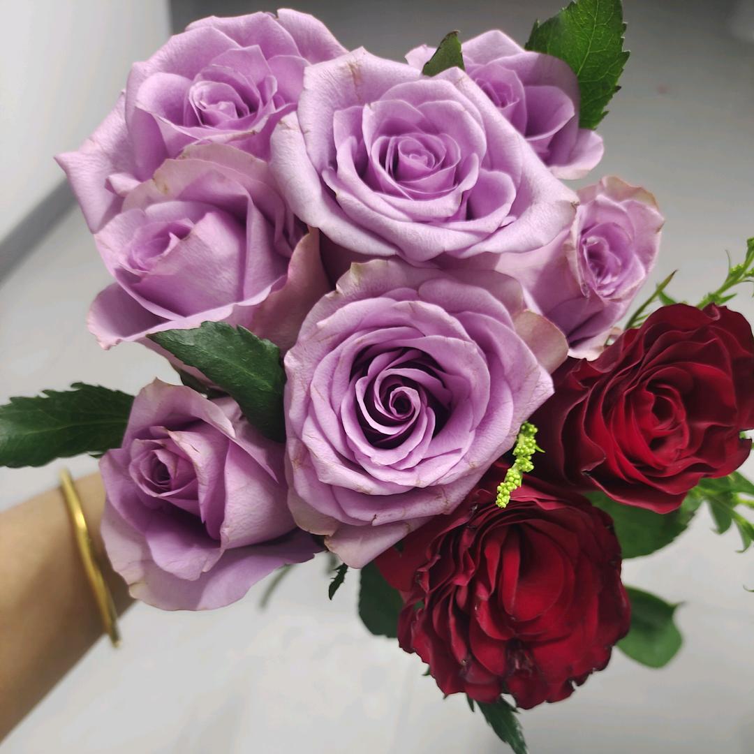 知芷