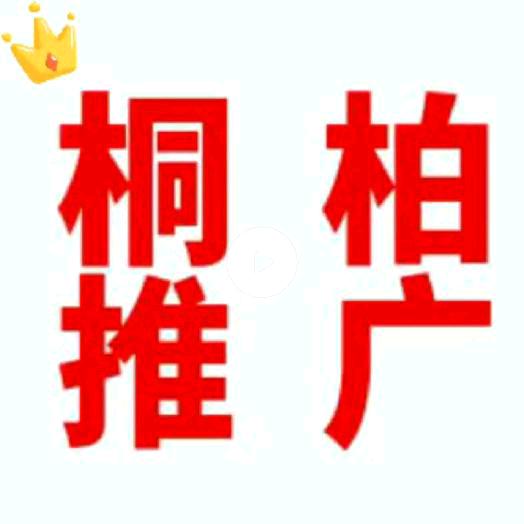 南阳桐柏主持人--探店推广