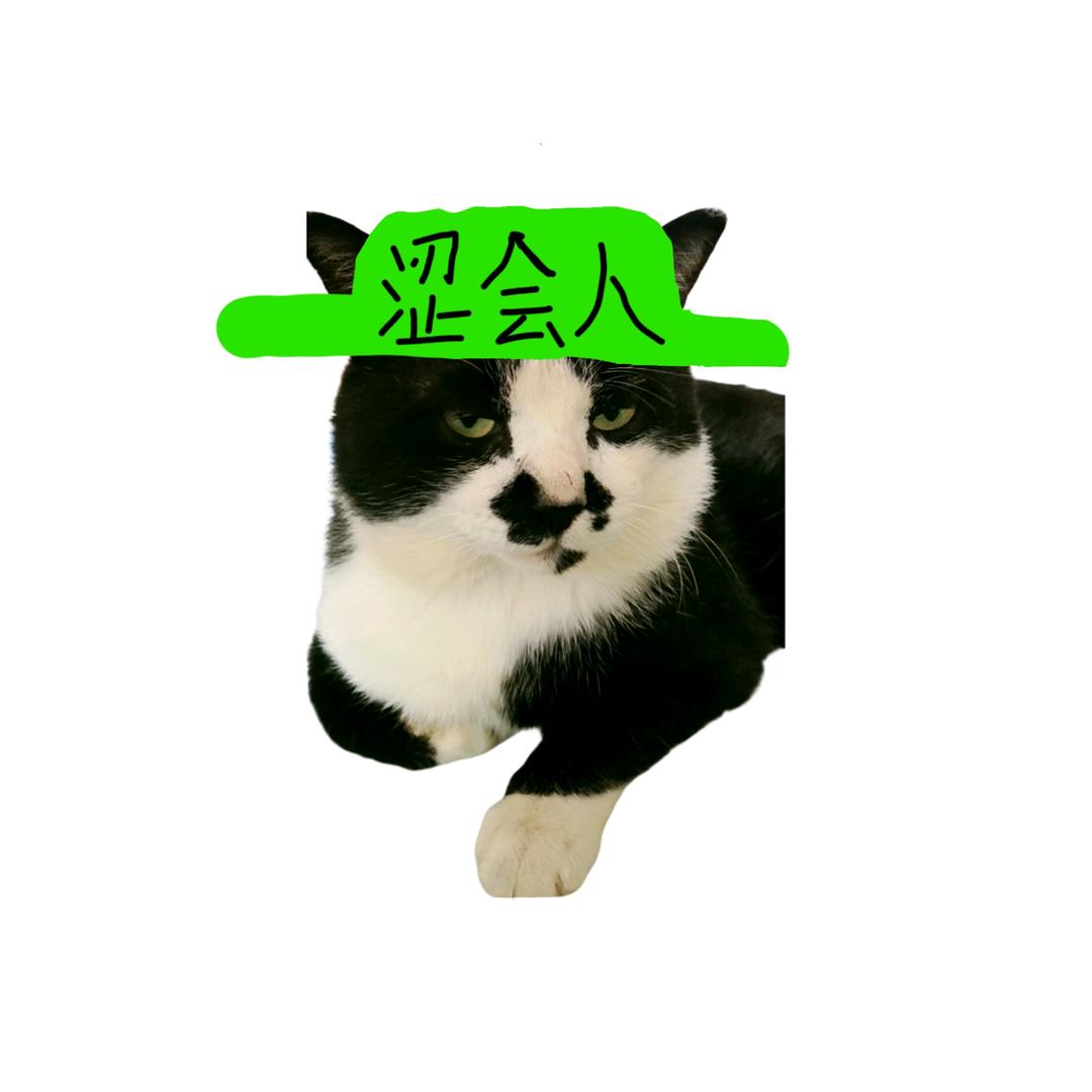 命苦算啥天赋