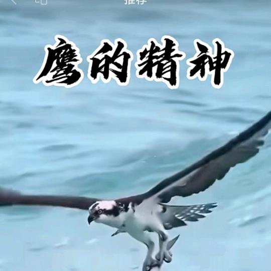 守护柴窑