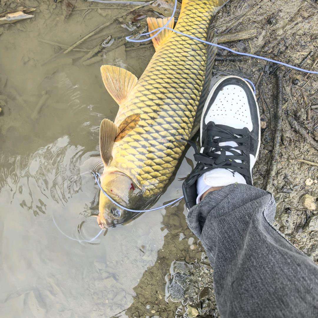 黔东南  打野王 逗钓小周