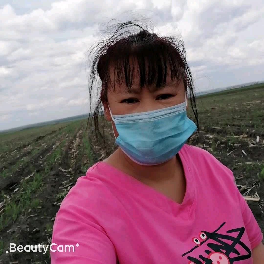 🌶愤怒的小鸟🌶