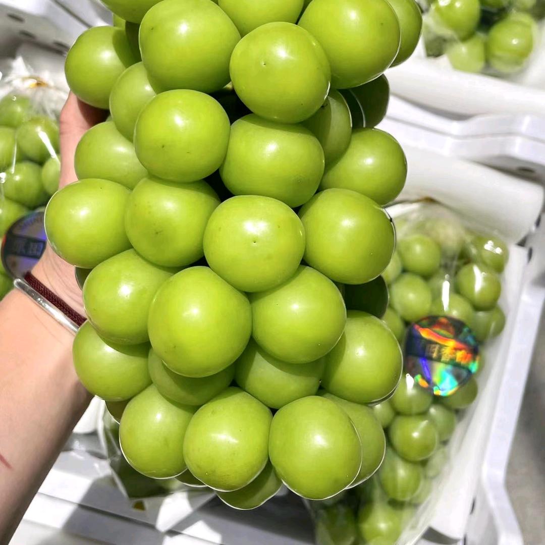 谢付涛