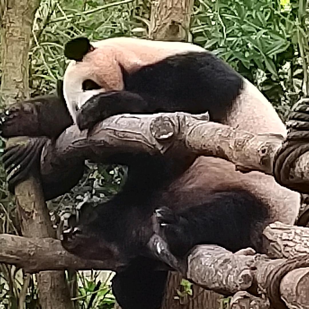 武商超市黄石生活馆