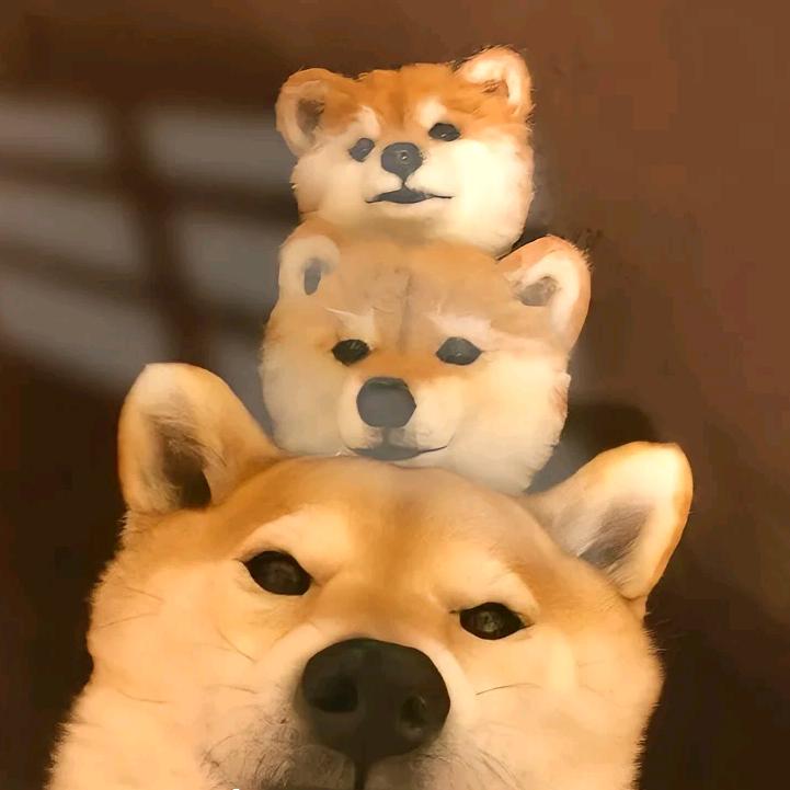 犯花痴