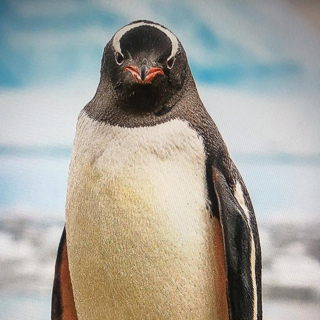 莫熙慈逢春科轻奢羽绒服专卖店