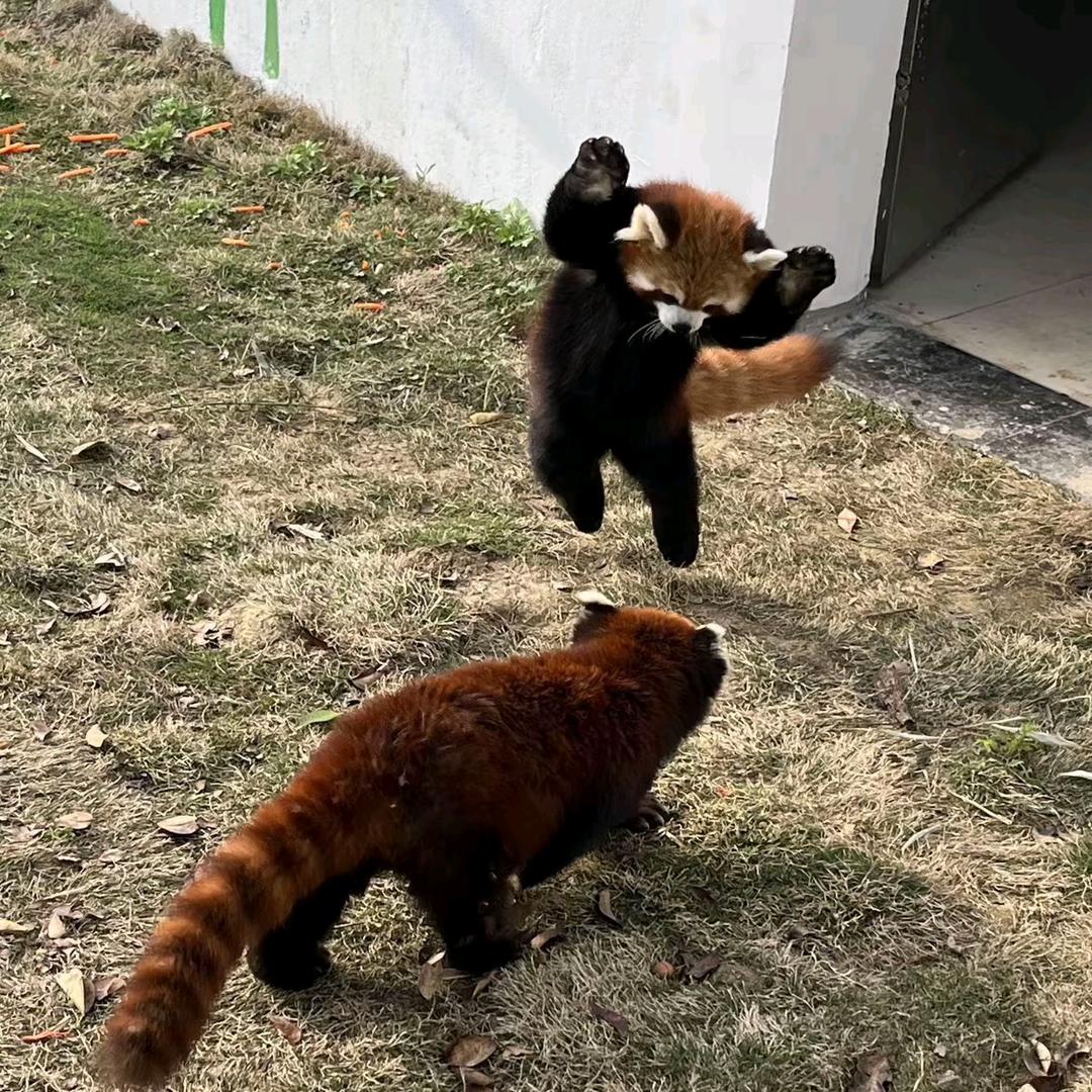 知知