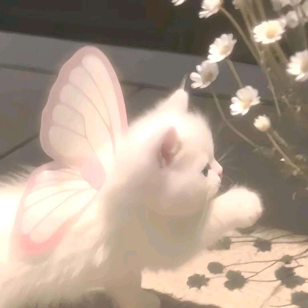 ᯠ  _   ̫  _ ̥ ᯄ ੭