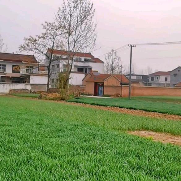 沉香独玉（小号）