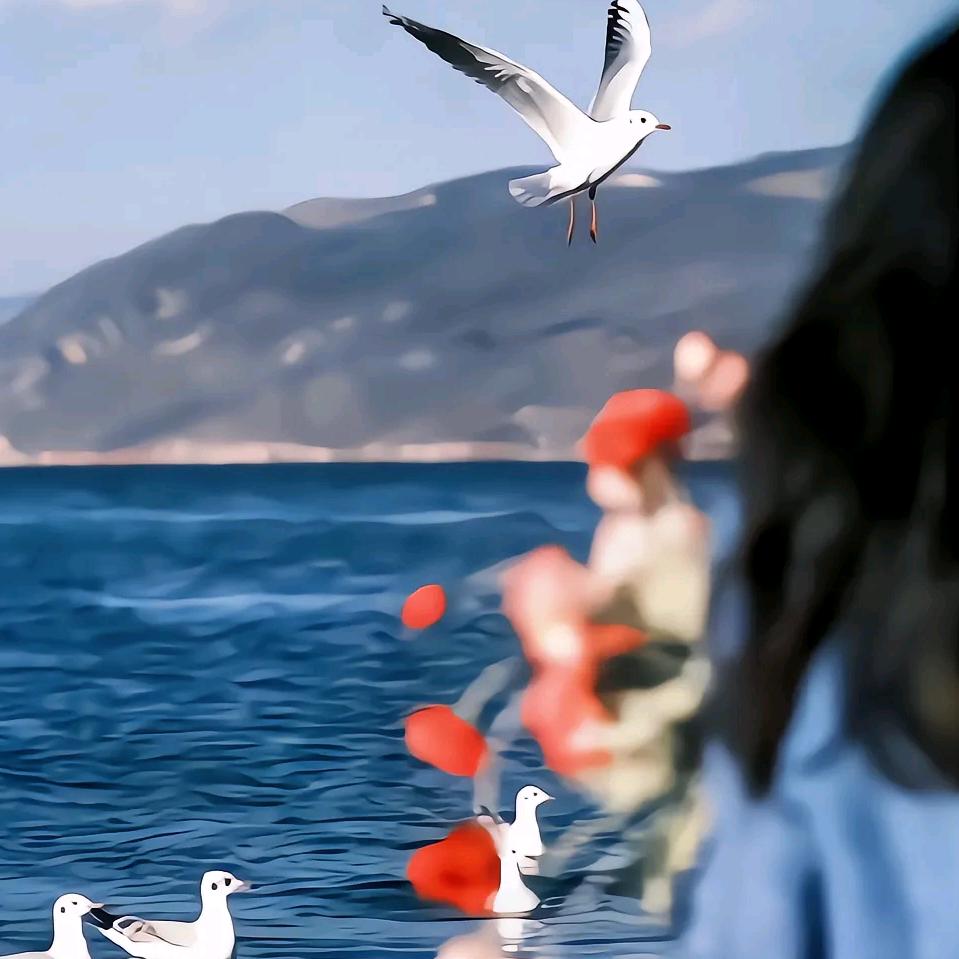 ꧁꫞꯭丫头💞独宠꧔ꦿ꧂