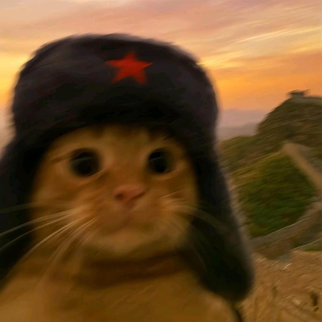 刘若安
