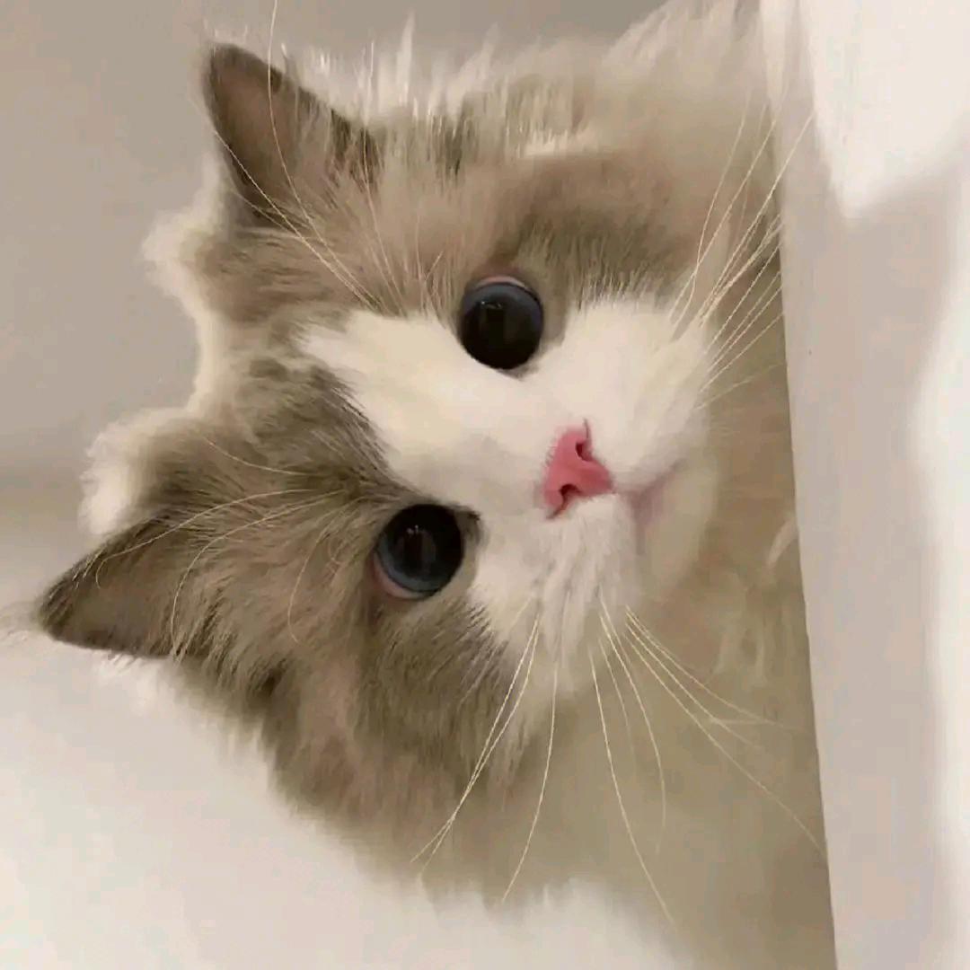 一曲犹未尽