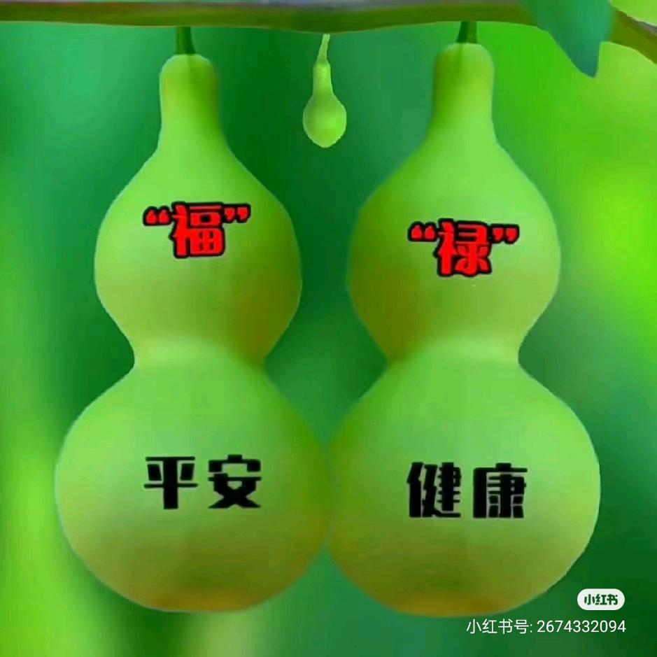 开心每一天