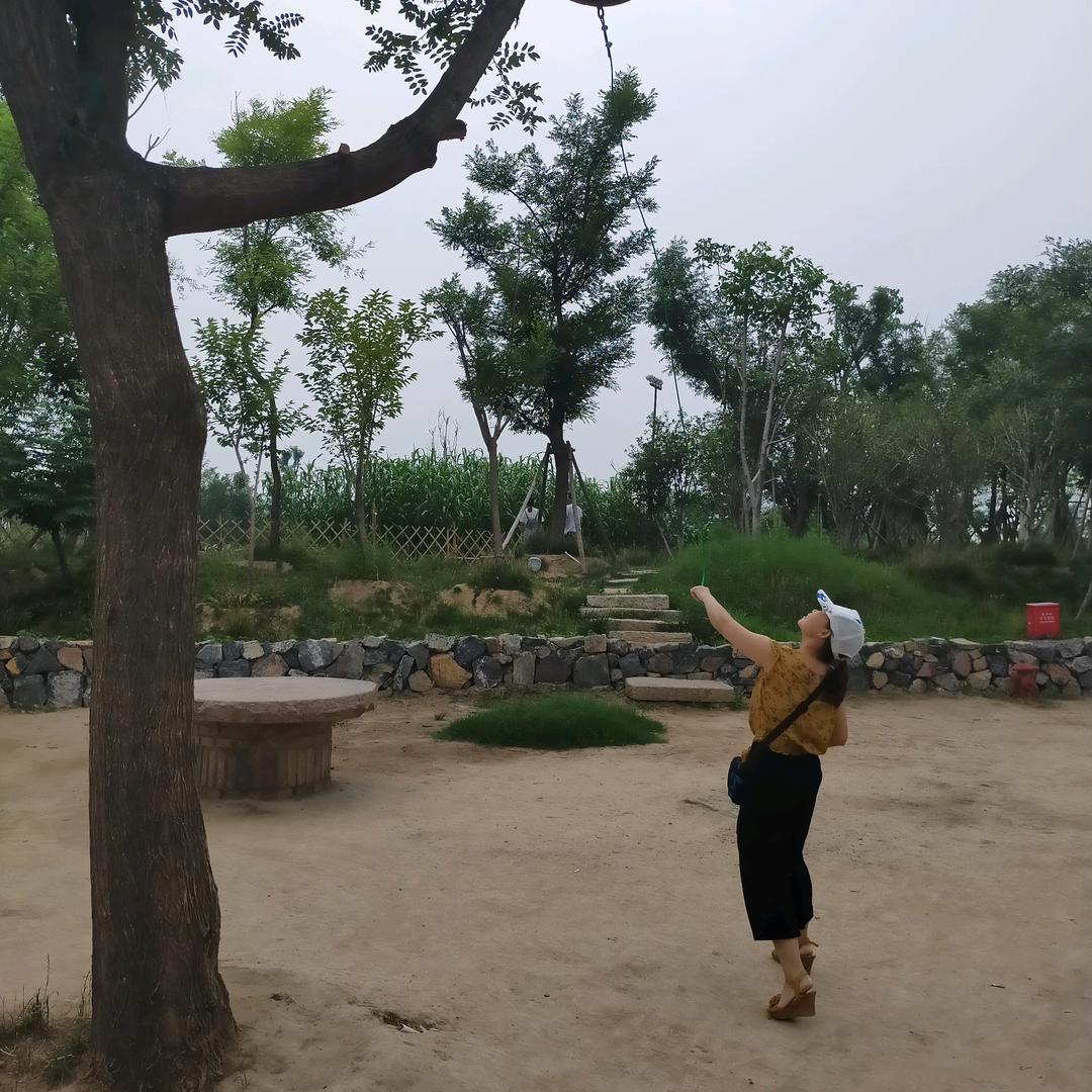 梦中帅哥