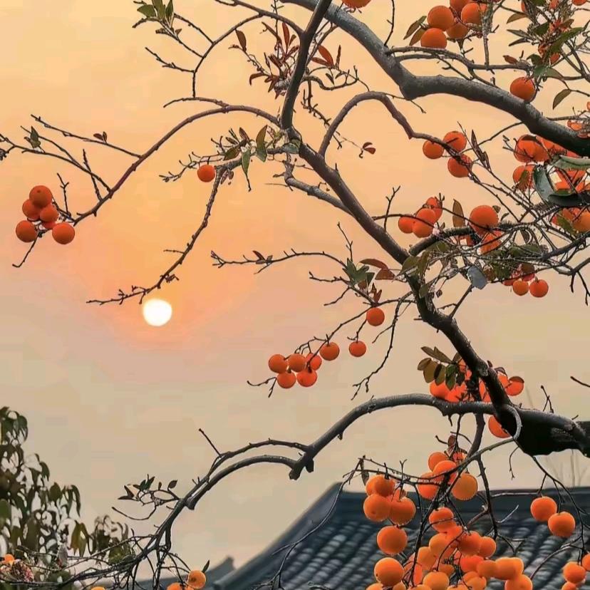 无所畏惧。
