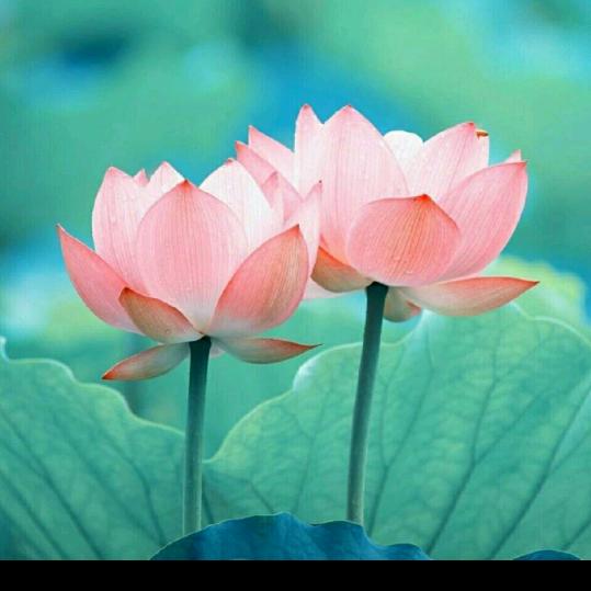 一笑而过