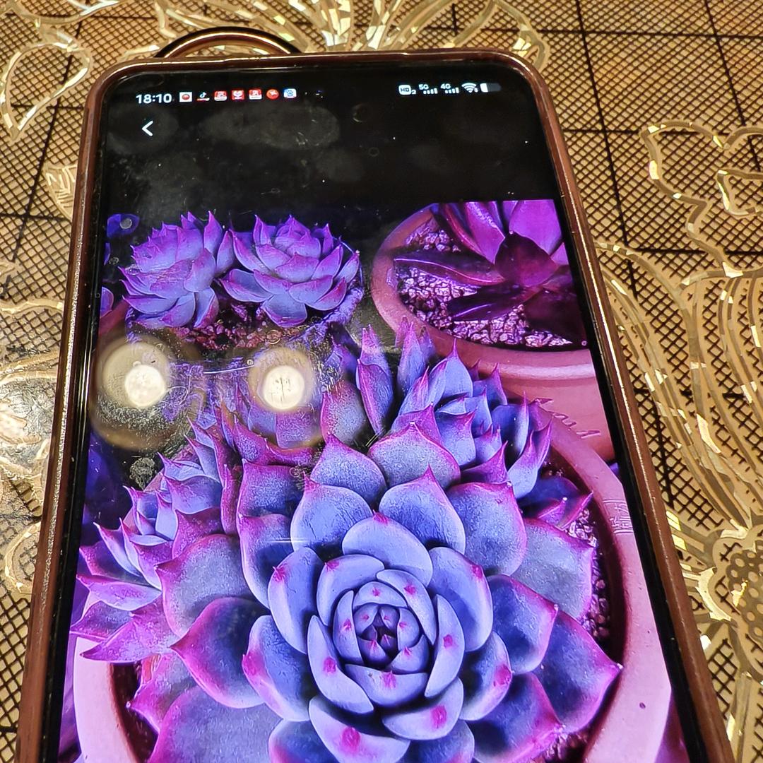 改变自己做好自己