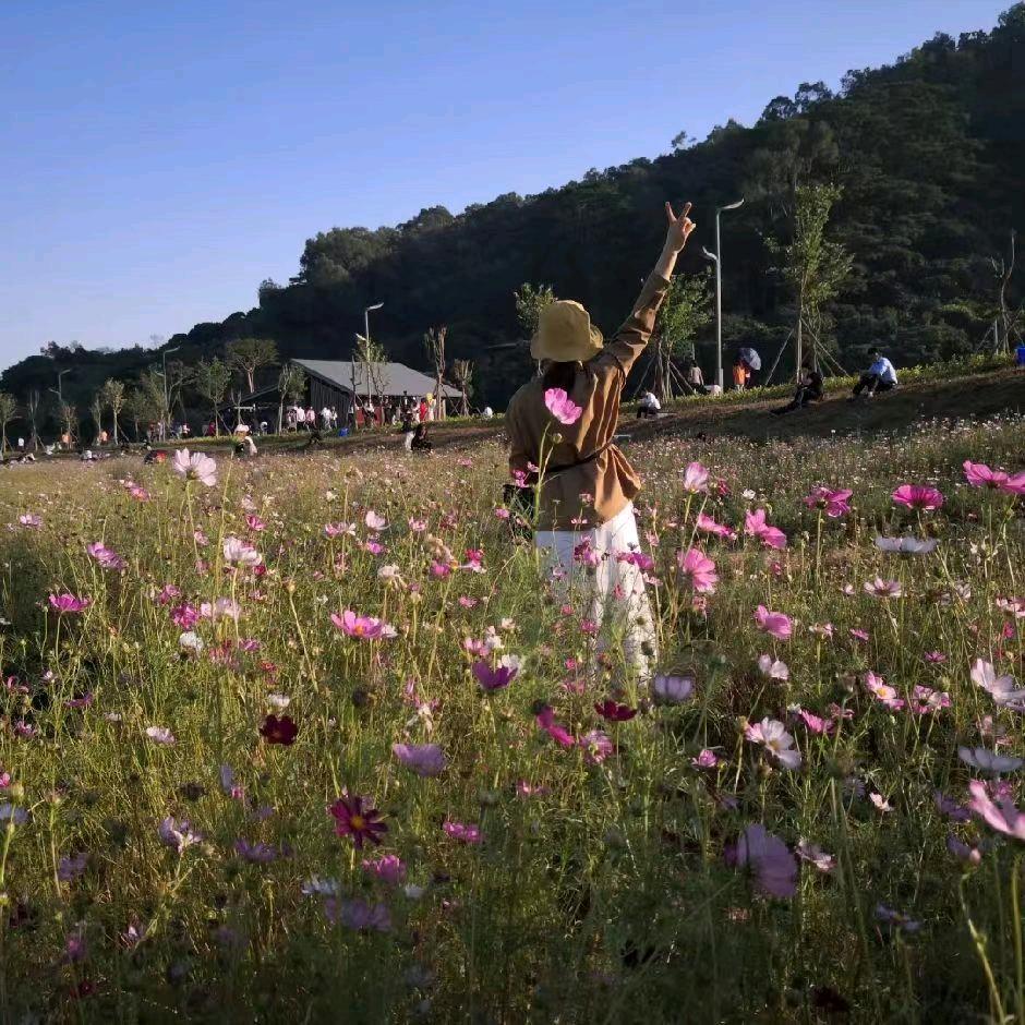 花狸
