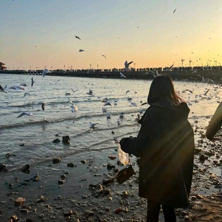 秋岩