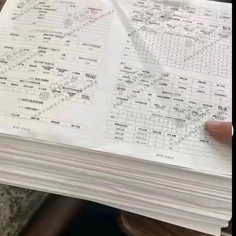 眉山金融李经理