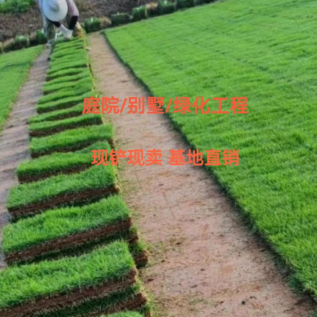 芸蕊景园苗木园艺场
