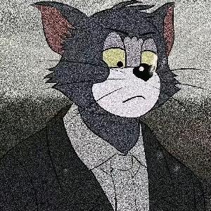 猫猴子的车