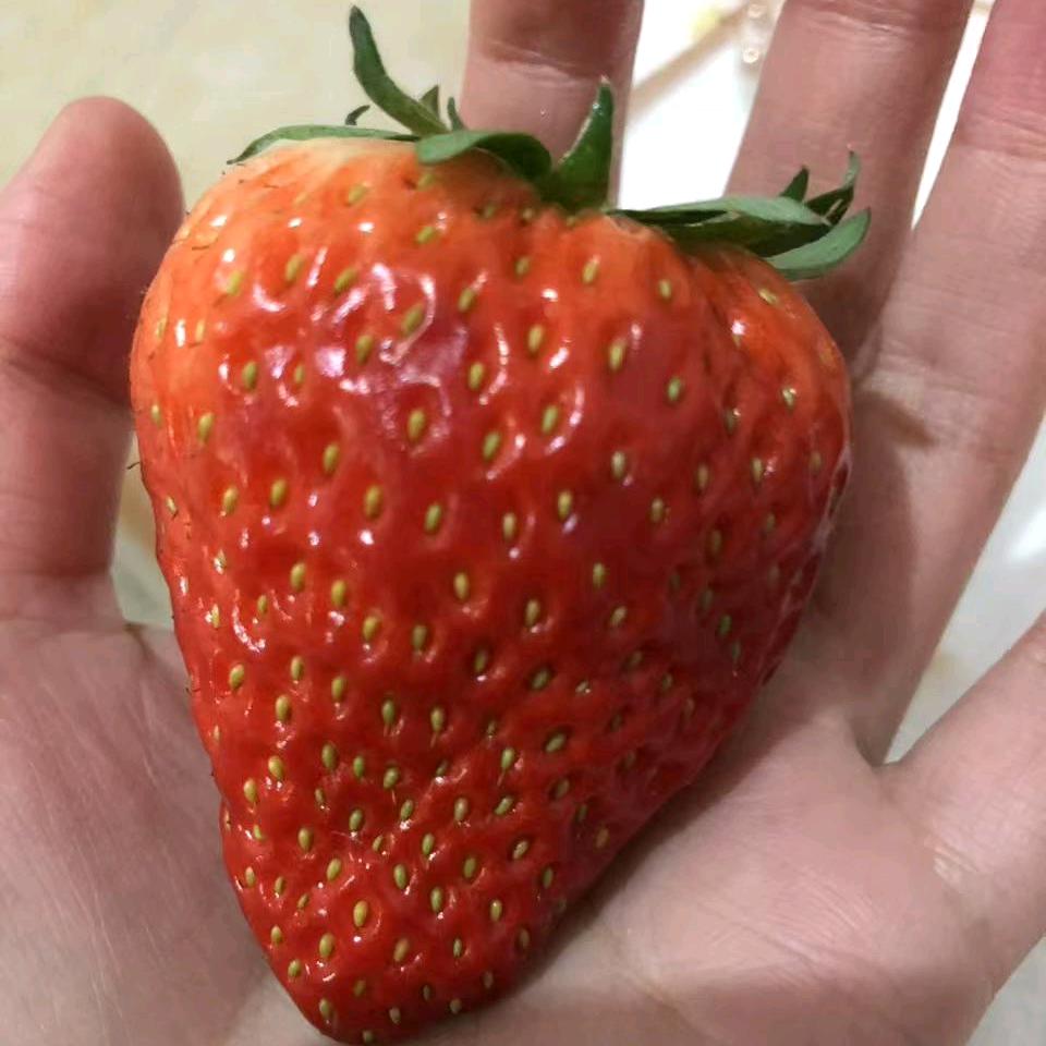 你头上有包