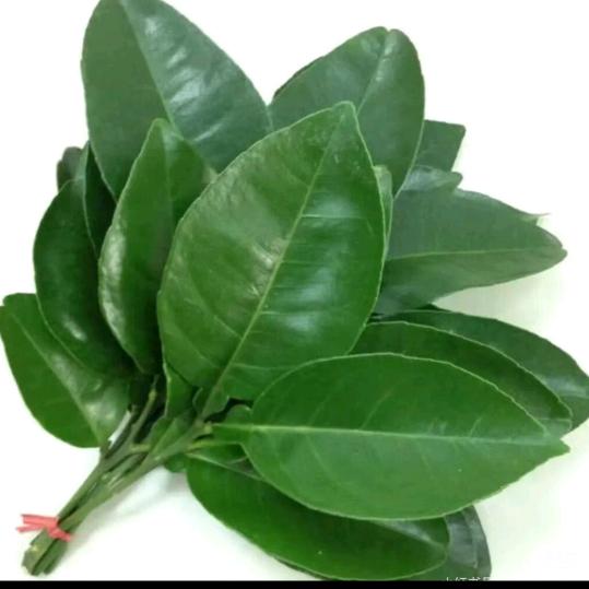 🈵🈵🈵🈵🈵🈵