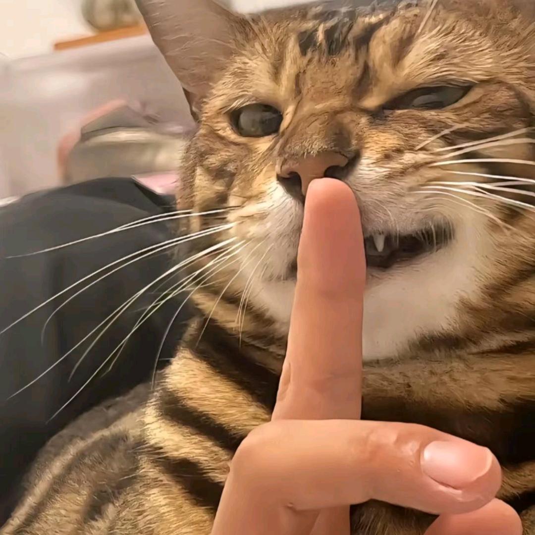 懂愈