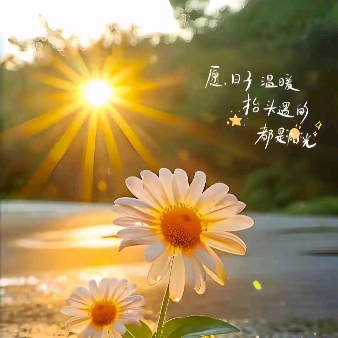榕