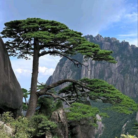 诗和远方
