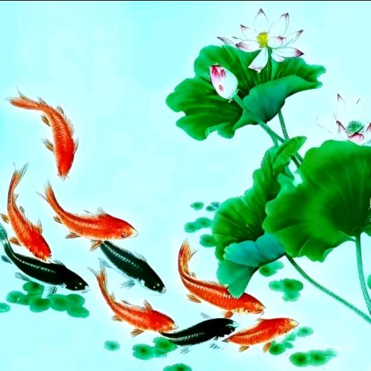 项姐姐