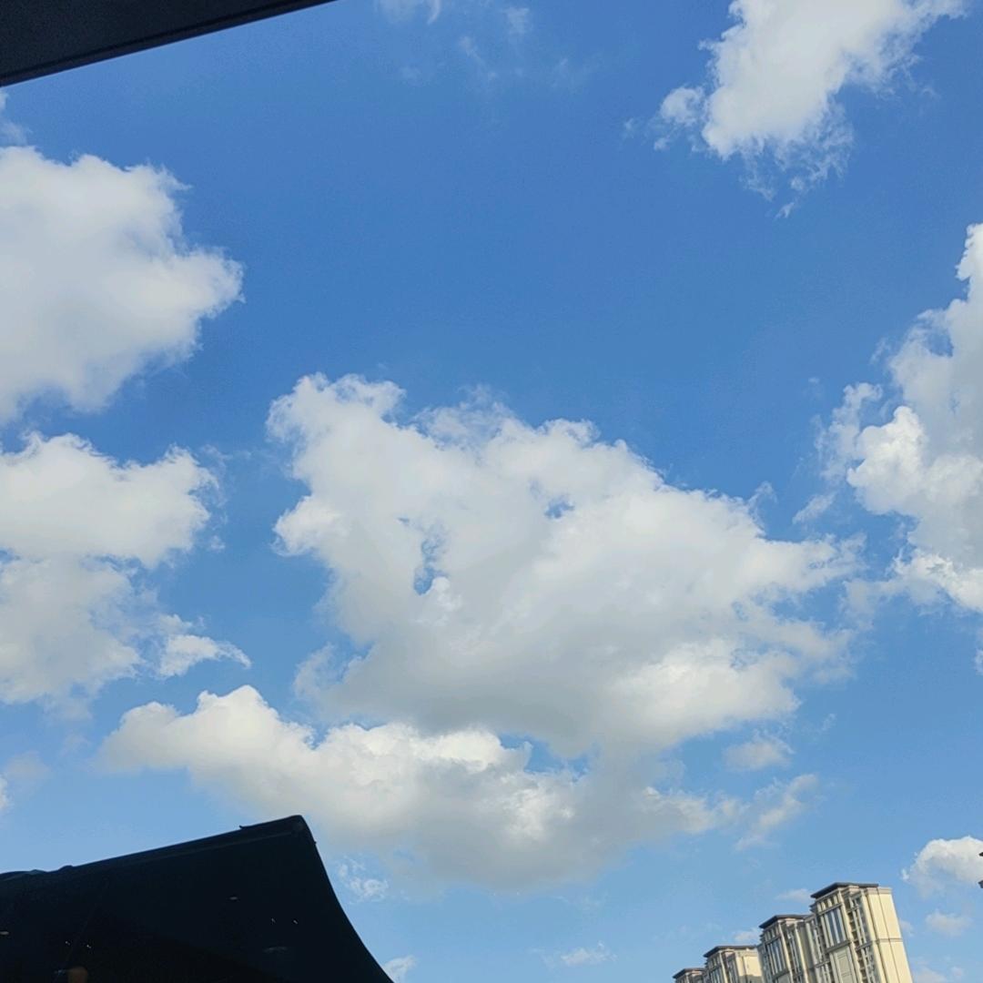 ✨微风吹过