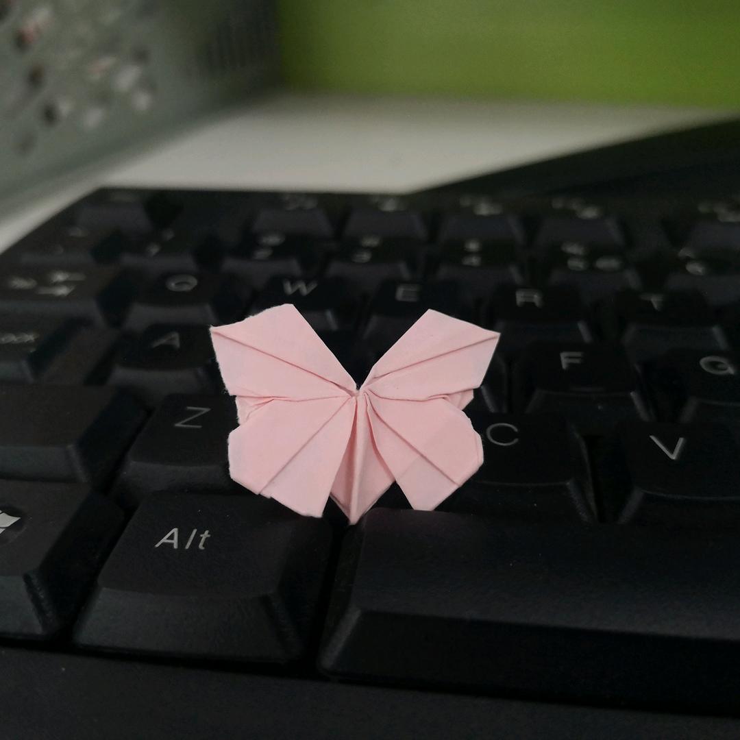 💫康丁人间🚲