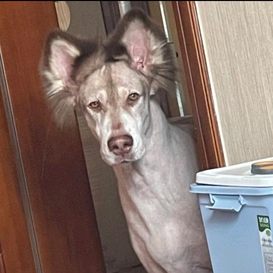 闽K 俞（干饭魂）