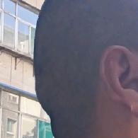 八月林
