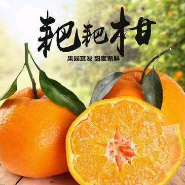 🍊