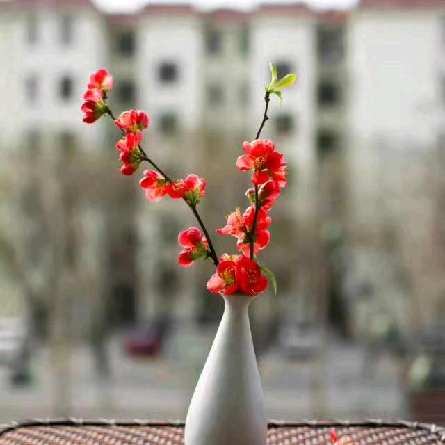 花~