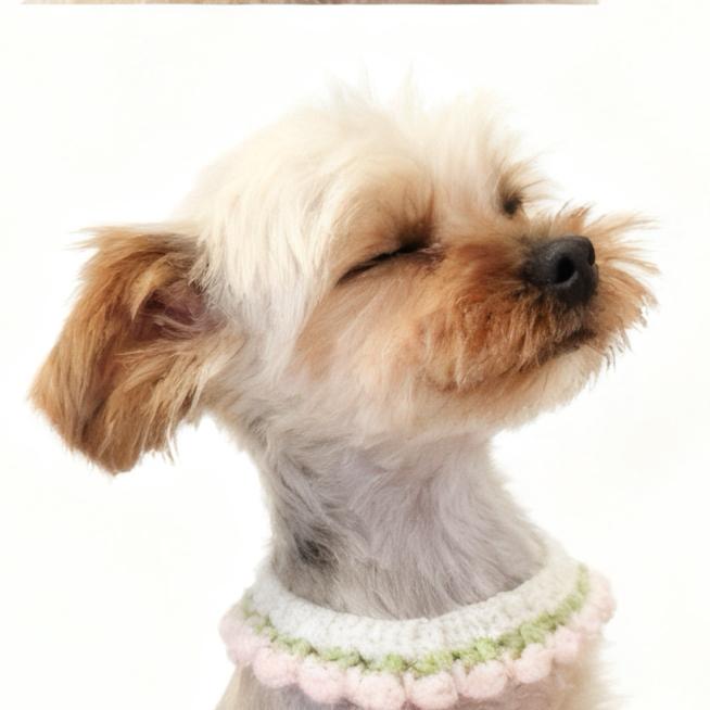 哇哦！周大狗🐶