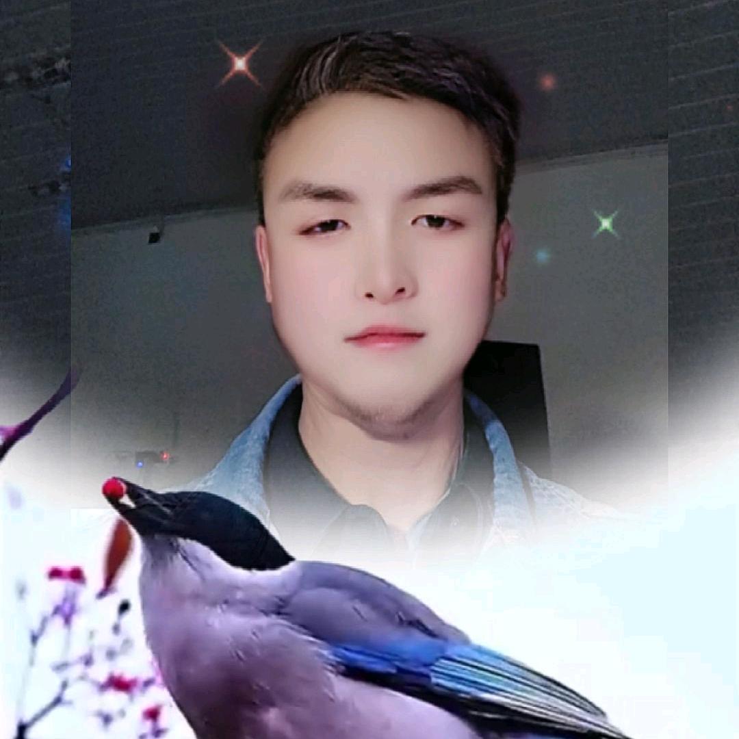 逆流而上险中求胜