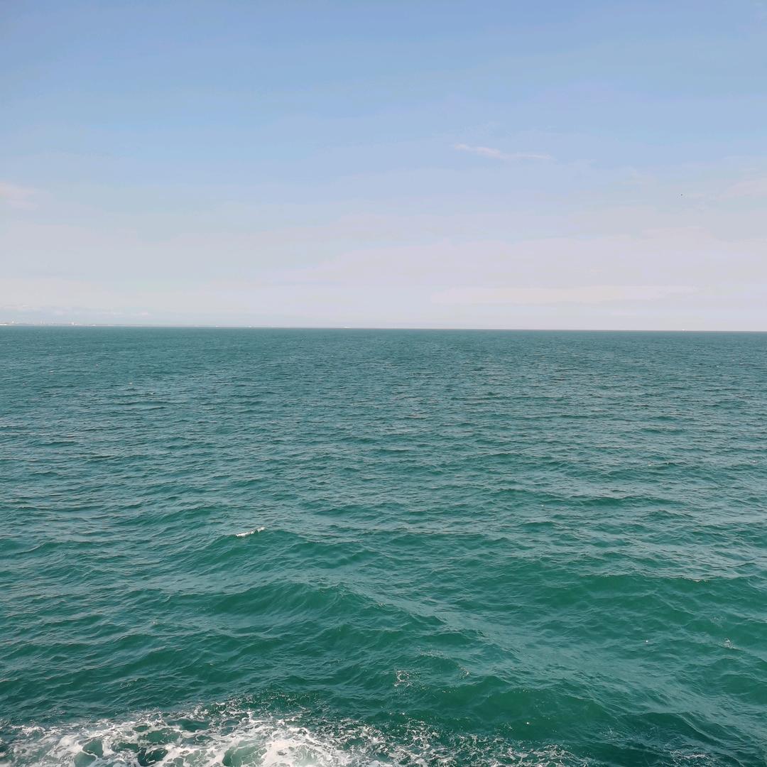 那片海