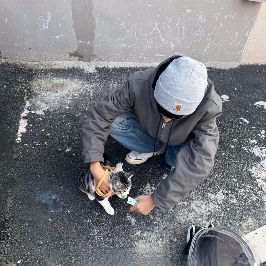 小酸苔