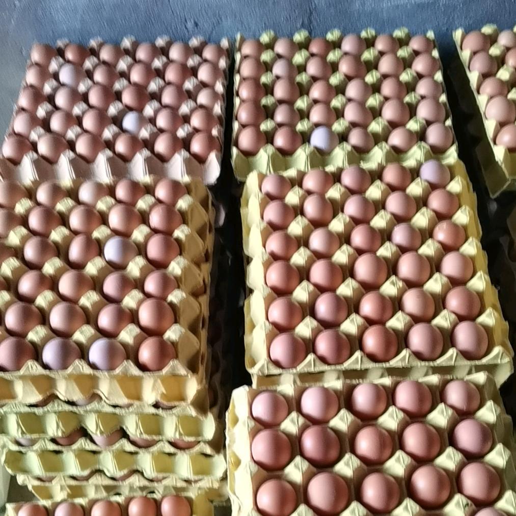 用户幸运相随2495022623374