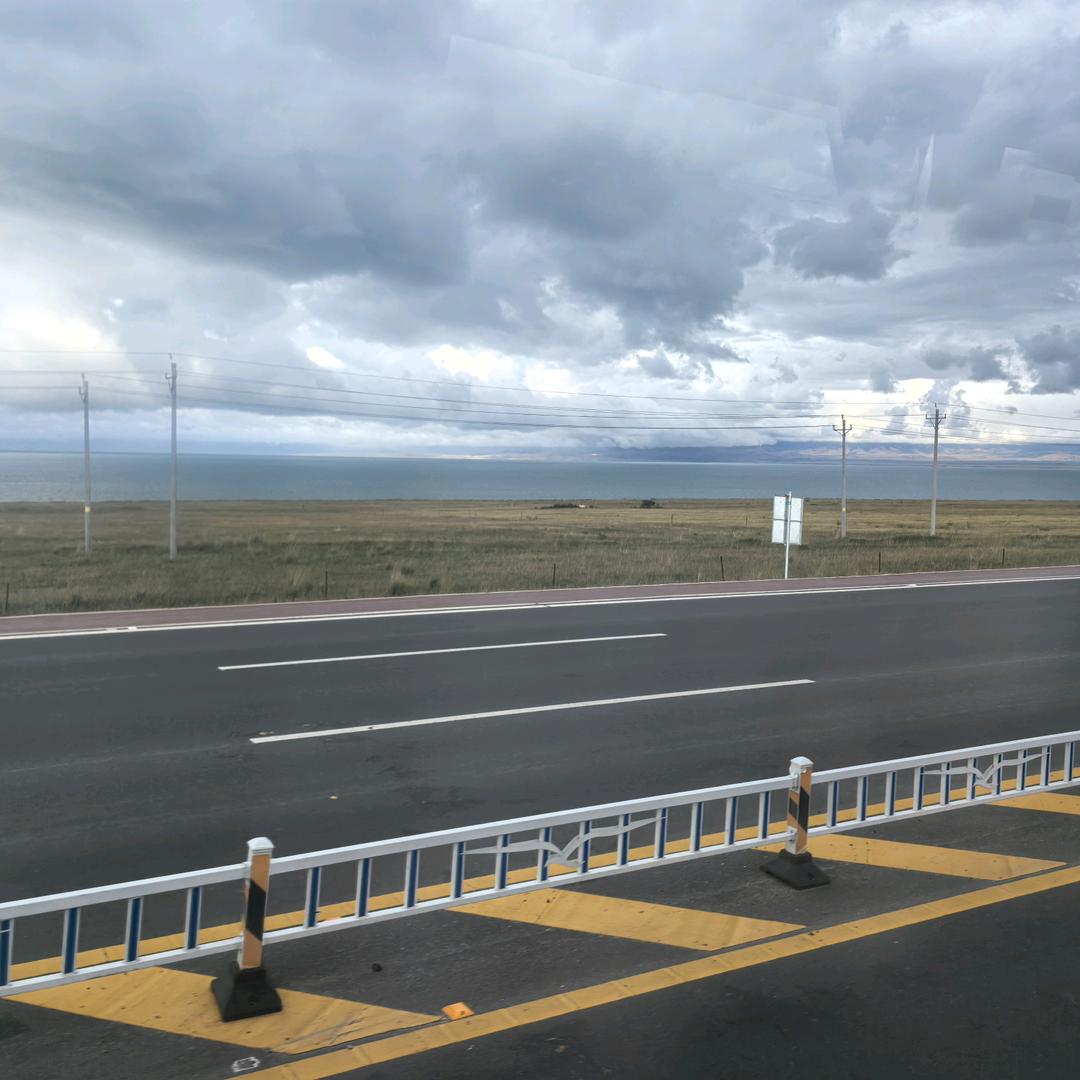 小老虎(跨境电商版)