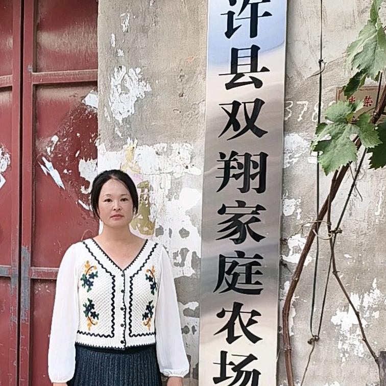 梅姐姐