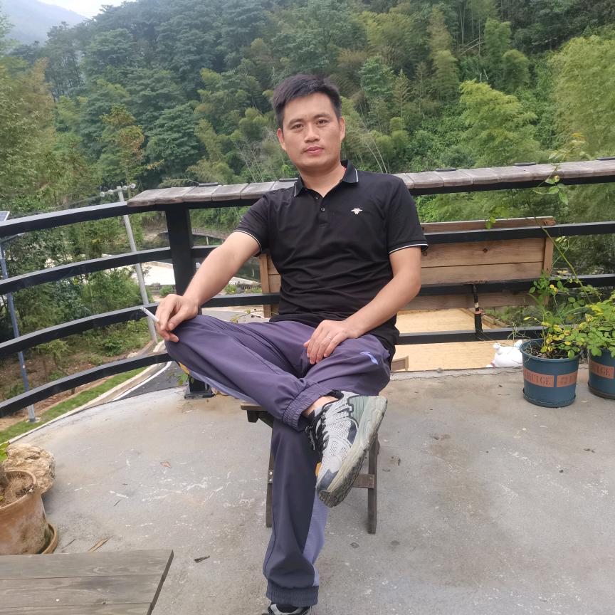 风中芦苇