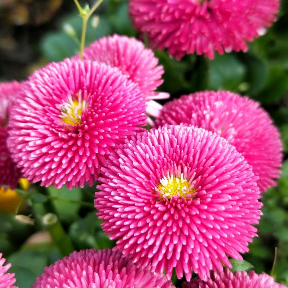 我们都是打工人